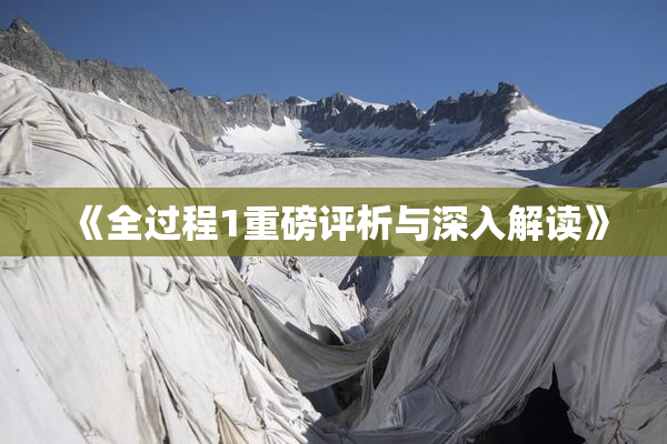 《全过程1重磅评析与深入解读》