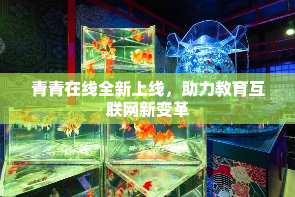 青青在线全新上线，助力教育互联网新变革