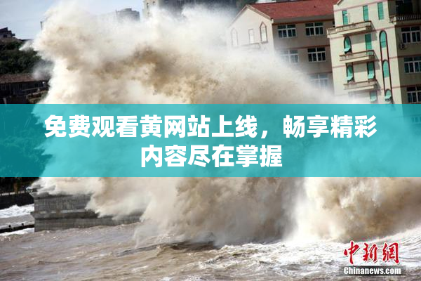 免费观看黄网站上线，畅享精彩内容尽在掌握