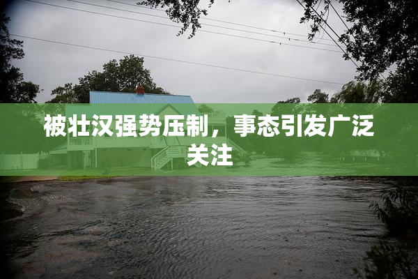 被壮汉强势压制，事态引发广泛关注