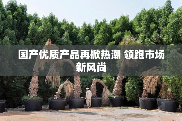 国产优质产品再掀热潮 领跑市场新风尚