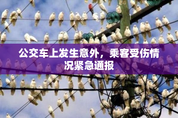 公交车上发生意外，乘客受伤情况紧急通报