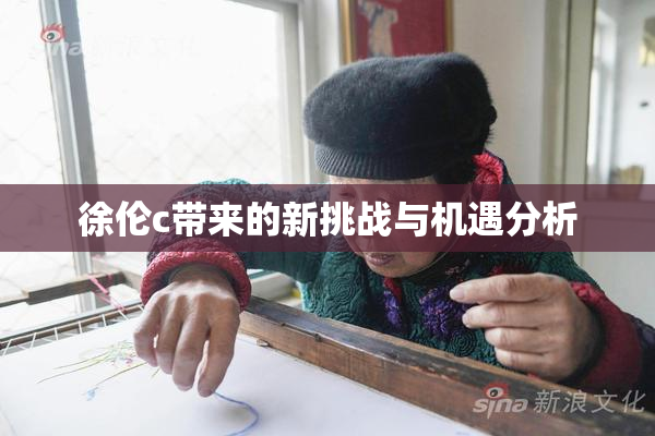 徐伦c带来的新挑战与机遇分析