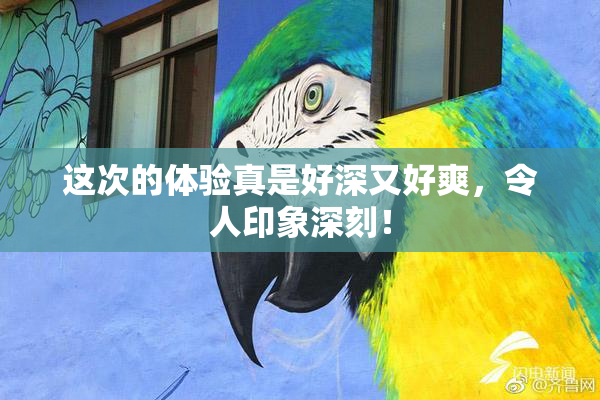 这次的体验真是好深又好爽，令人印象深刻！