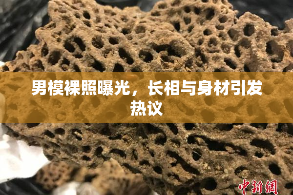 男模裸照曝光，长相与身材引发热议