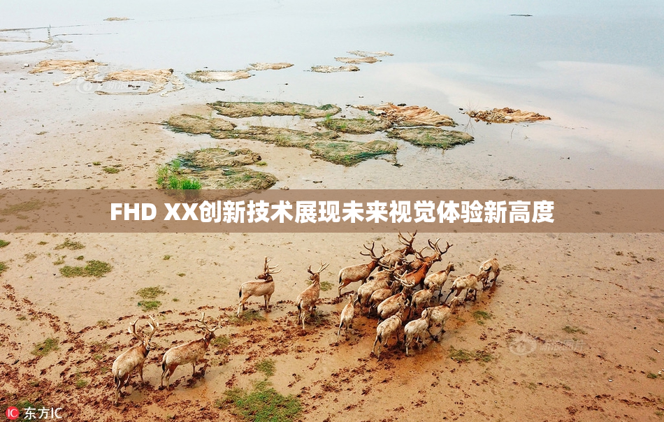 FHD XX创新技术展现未来视觉体验新高度