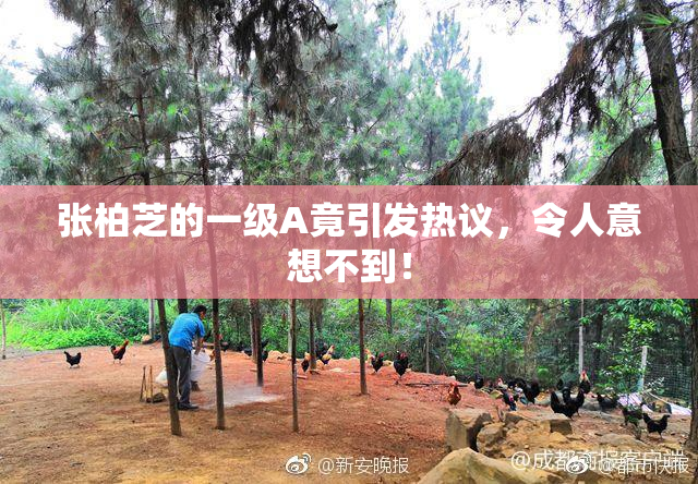 张柏芝的一级A竟引发热议，令人意想不到！
