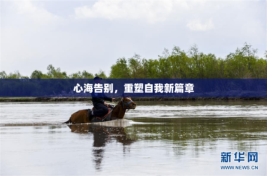 心海告别，重塑自我新篇章