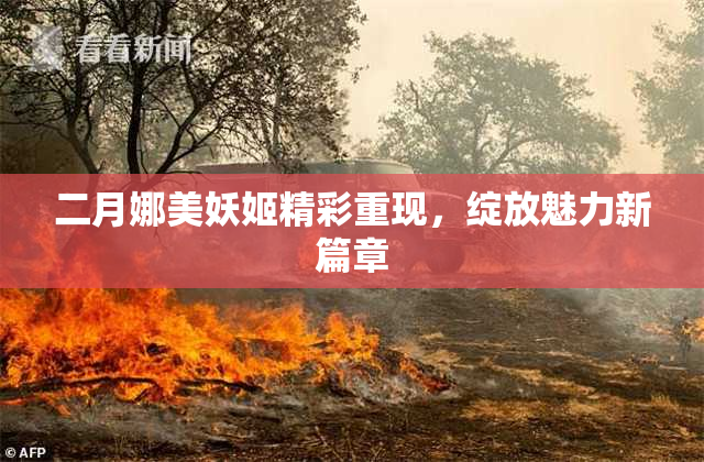 二月娜美妖姬精彩重现，绽放魅力新篇章