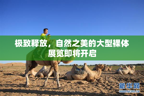 极致释放，自然之美的大型裸体展览即将开启
