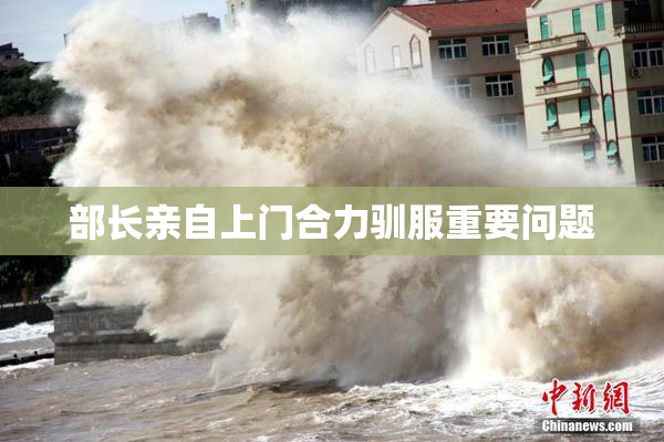 部长亲自上门合力驯服重要问题