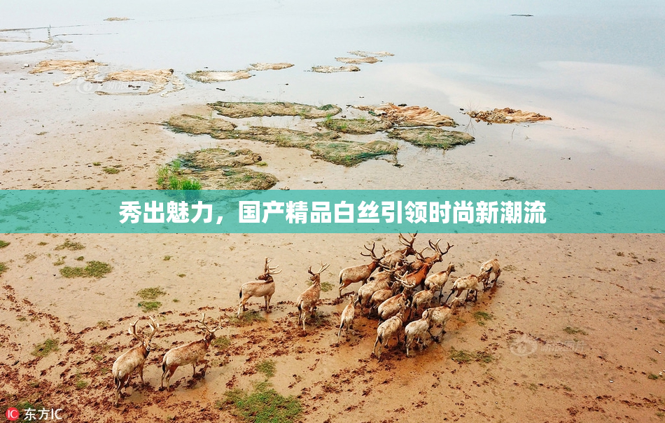 秀出魅力，国产精品白丝引领时尚新潮流