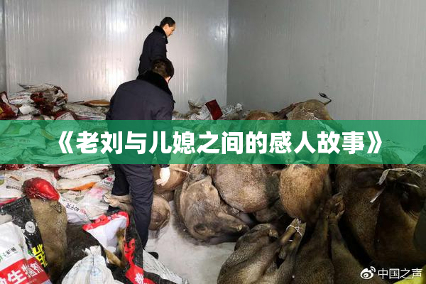 《老刘与儿媳之间的感人故事》