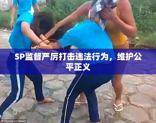 SP监督严厉打击违法行为，维护公平正义