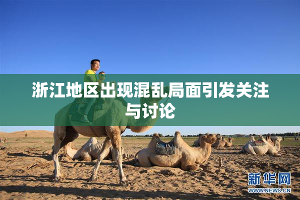 浙江地区出现混乱局面引发关注与讨论
