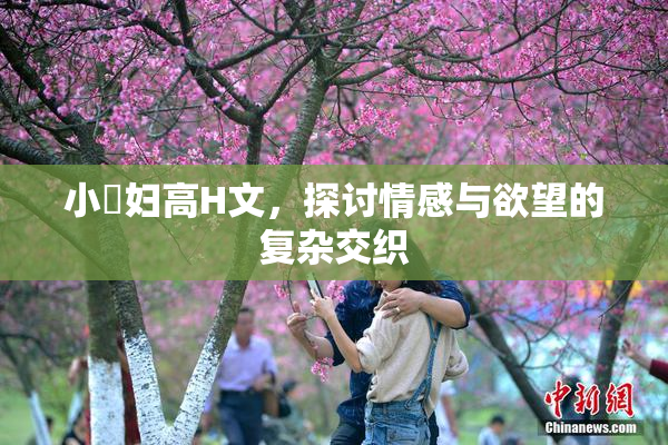 小婬妇高H文，探讨情感与欲望的复杂交织