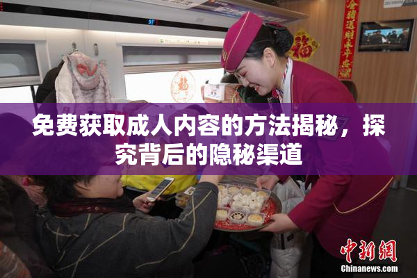 免费获取成人内容的方法揭秘，探究背后的隐秘渠道