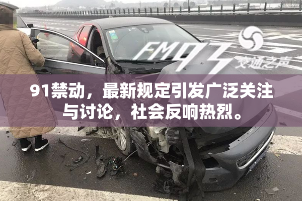 91禁动，最新规定引发广泛关注与讨论，社会反响热烈。