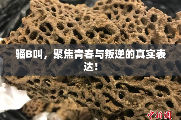骚B叫，聚焦青春与叛逆的真实表达！