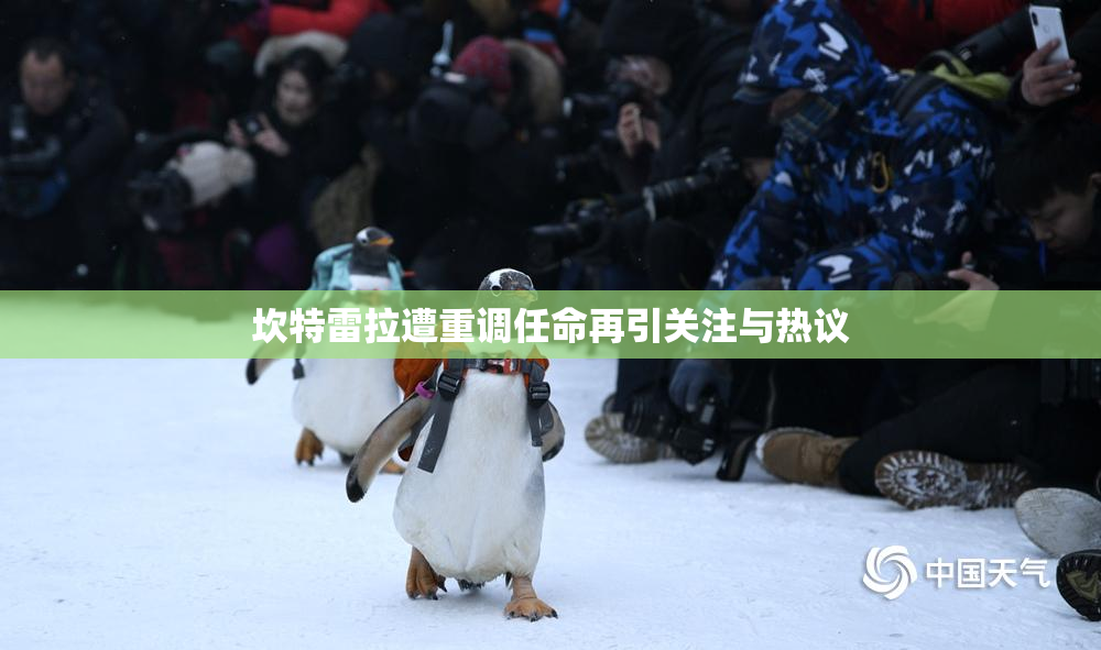 坎特雷拉遭重调任命再引关注与热议