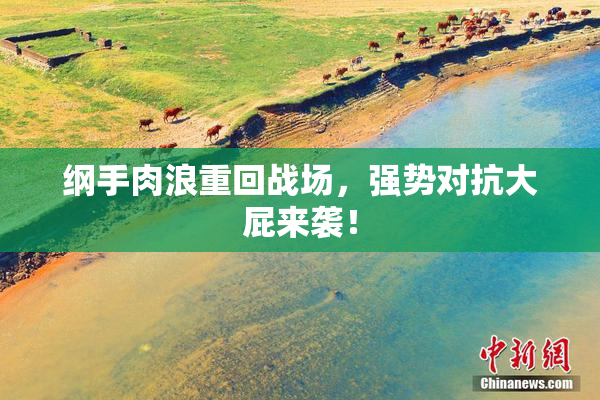 纲手肉浪重回战场，强势对抗大屁来袭！