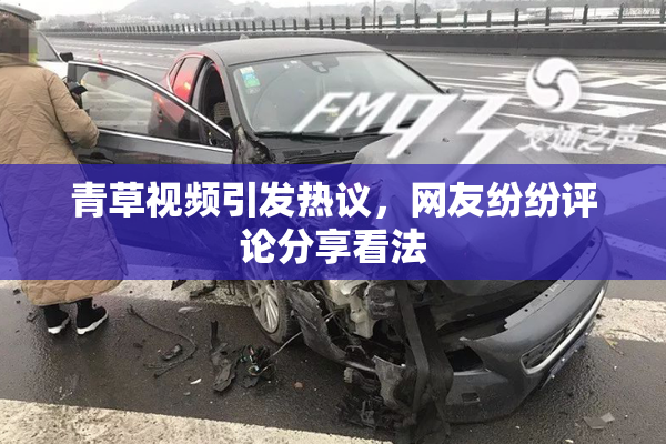 青草视频引发热议，网友纷纷评论分享看法