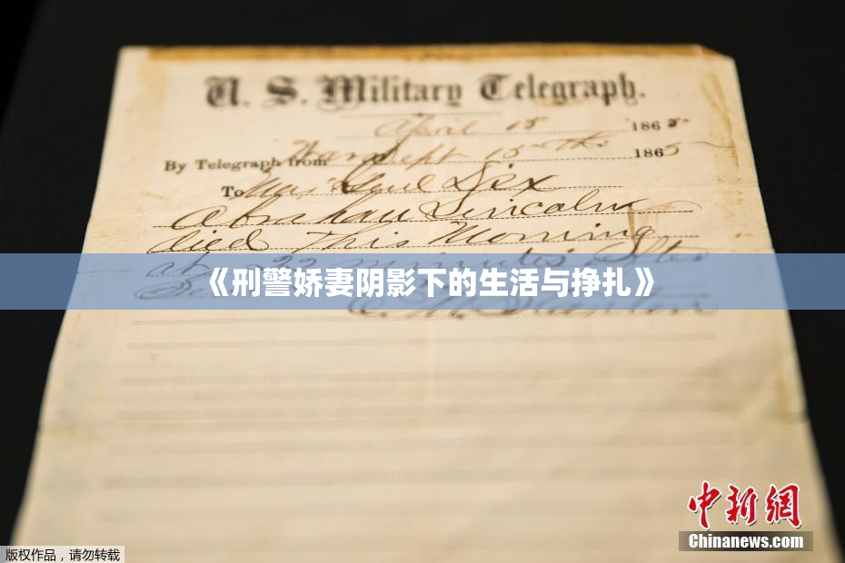 《刑警娇妻阴影下的生活与挣扎》