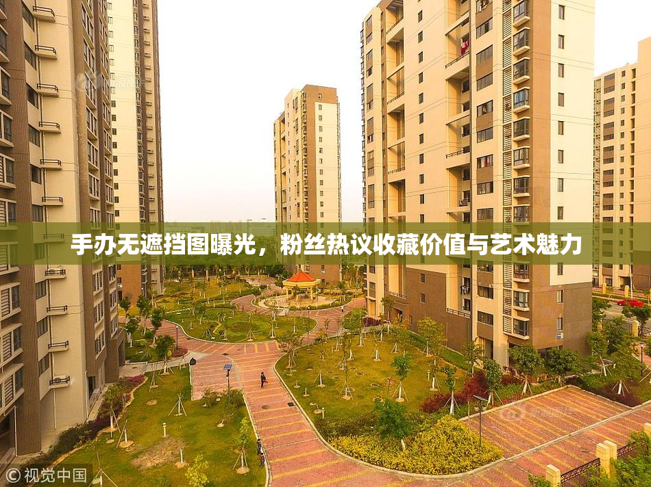 手办无遮挡图曝光，粉丝热议收藏价值与艺术魅力