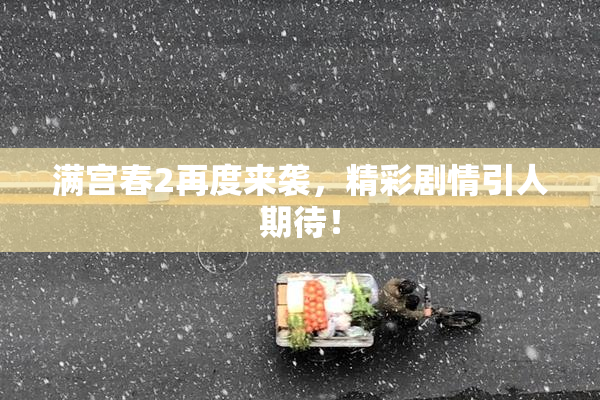 满宫春2再度来袭，精彩剧情引人期待！