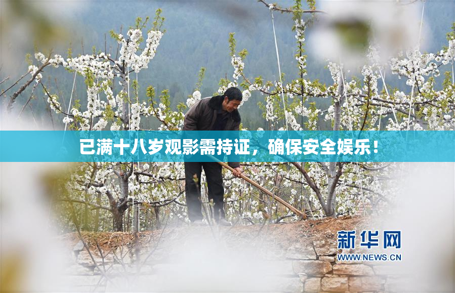 已满十八岁观影需持证，确保安全娱乐！