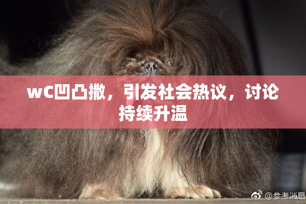 wC凹凸撒，引发社会热议，讨论持续升温