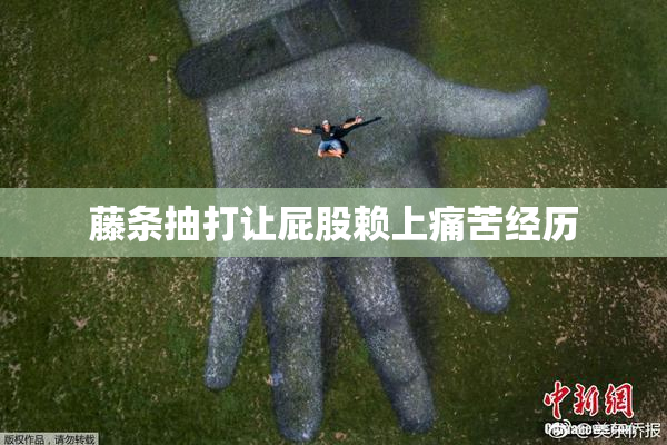 藤条抽打让屁股赖上痛苦经历