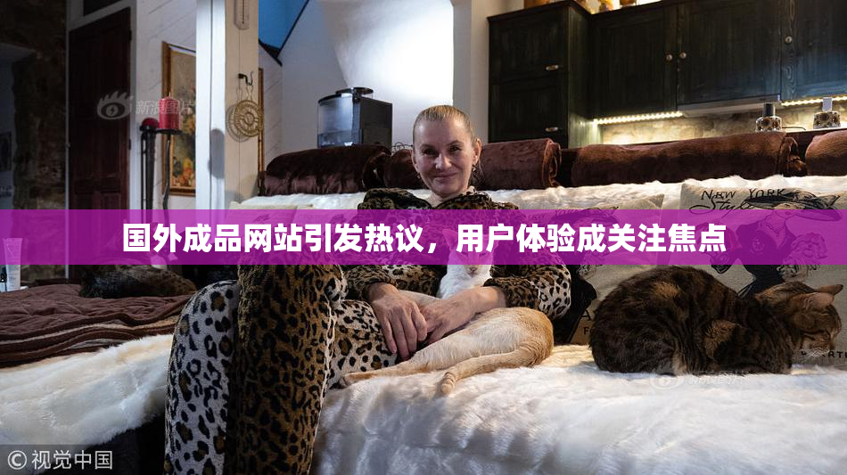 国外成品网站引发热议，用户体验成关注焦点