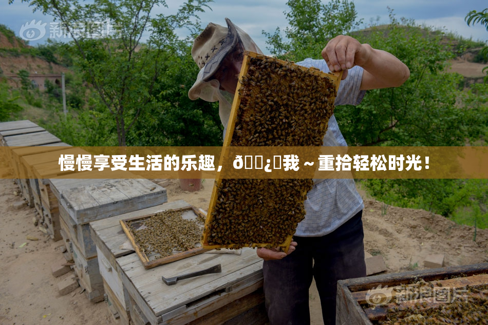 慢慢享受生活的乐趣，🌿‌我～重拾轻松时光！
