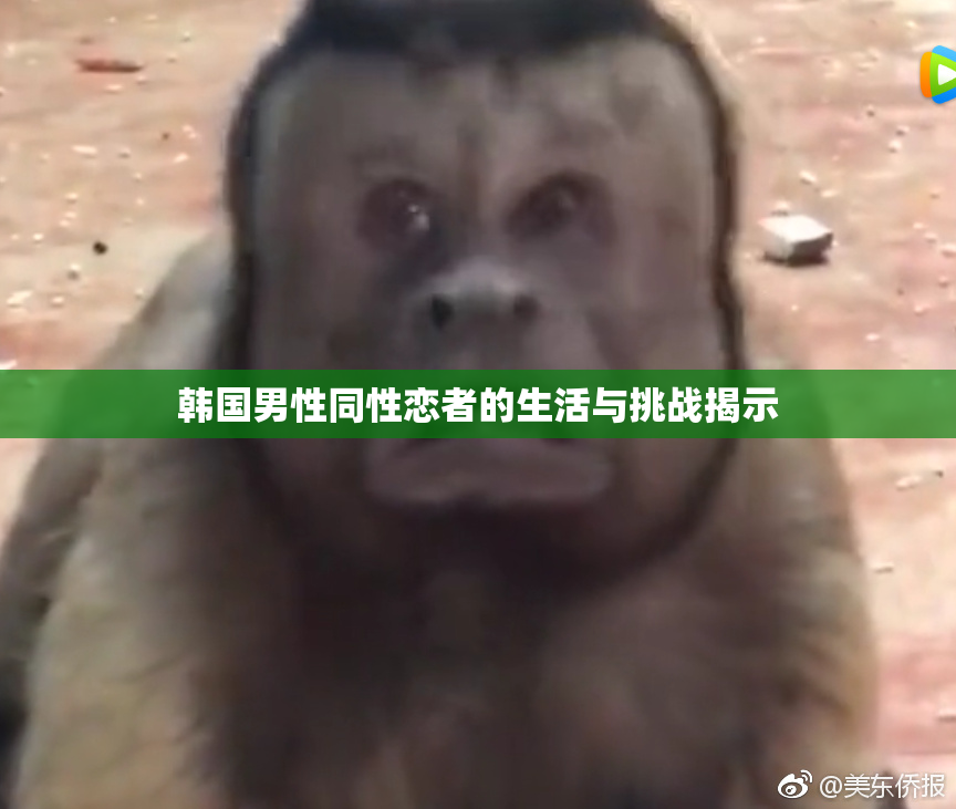 韩国男性同性恋者的生活与挑战揭示