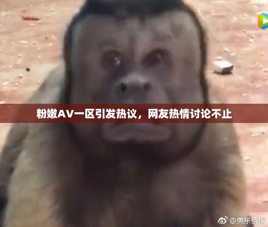 粉嫩AV一区引发热议，网友热情讨论不止