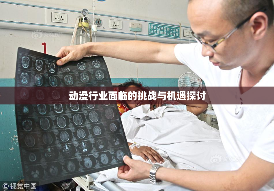 动漫行业面临的挑战与机遇探讨