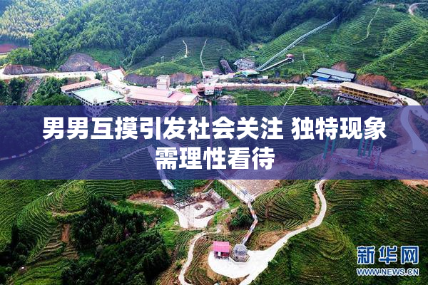 男男互摸引发社会关注 独特现象需理性看待