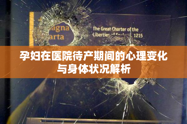 孕妇在医院待产期间的心理变化与身体状况解析