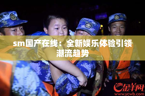 sm国产在线：全新娱乐体验引领潮流趋势