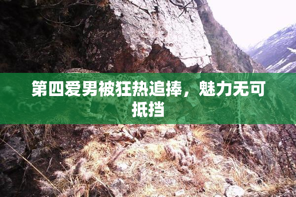 第四爱男被狂热追捧，魅力无可抵挡