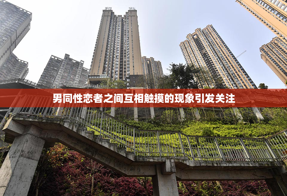 男同性恋者之间互相触摸的现象引发关注