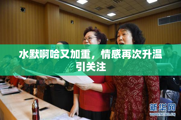 水默啊哈又加重，情感再次升温引关注