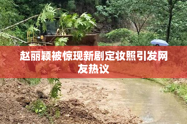 赵丽颖被惊现新剧定妆照引发网友热议