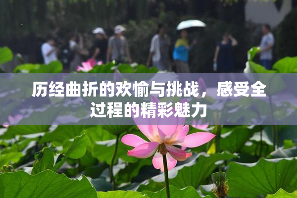 历经曲折的欢愉与挑战，感受全过程的精彩魅力