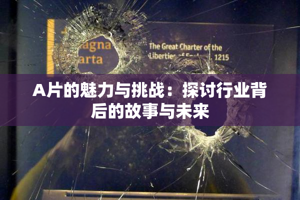 A片的魅力与挑战：探讨行业背后的故事与未来