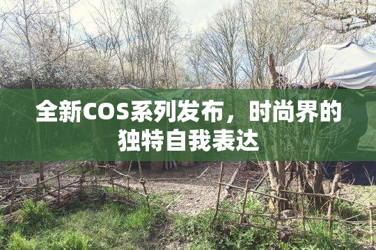 全新COS系列发布，时尚界的独特自我表达