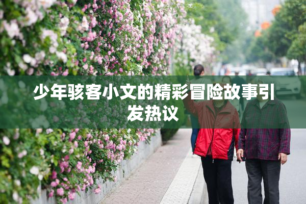 少年骇客小文的精彩冒险故事引发热议