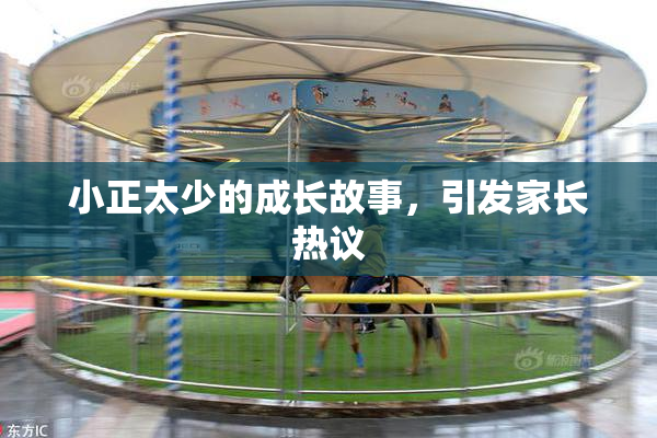 小正太少的成长故事，引发家长热议