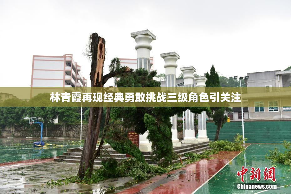 林青霞再现经典勇敢挑战三级角色引关注